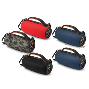 Portable Wireless Speaker